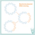 Bacterial plasmid DNA cloning scheme design element stock vector illustration Royalty Free Stock Photo